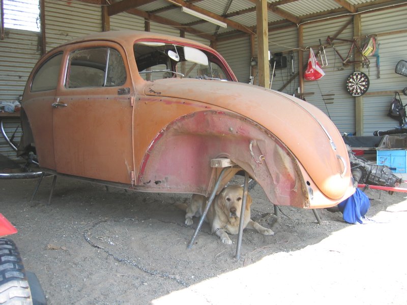 http://www.thesamba.com/vw/gallery/pix/196269.jpg http://www.thesamba.com/vw/gallery/pix/196269.jpg