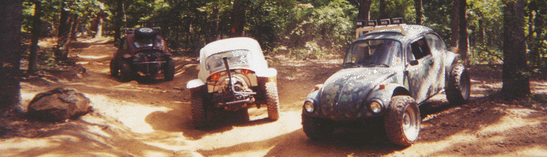 http://www.thesamba.com/vw/gallery/pix/56036.gif