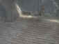 cargofloor.jpg (59980 bytes)