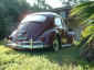 dumped.jpg (106933 bytes)