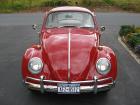 1966 VW Bug
