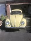 1966 Bug   price reduced
