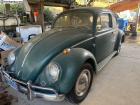 Beautiful 64 Bug