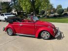 61 Bug convertible ready to show or cruise
