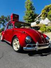 67 Beetle Gorgeous! in Nor CAL.