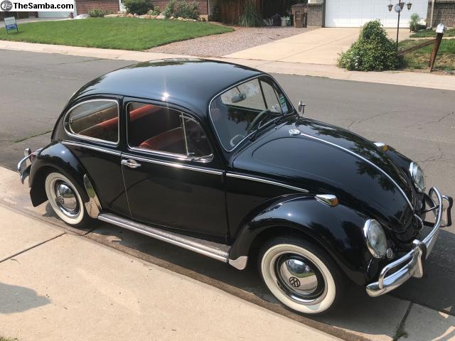 Thesamba Com Vw Classifieds 1965 Beetle Black W Red