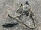 Bus fuel injection wiring harness