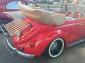 Chrome or Powder coat VW Decklid Rack