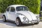 1967 Volkswagen Beetle