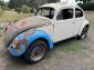 1956 Oval Rust Free Ragtop clip, Okrasa,W vert lid