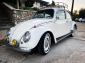1966 Bug