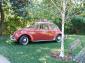 1966 Beetle survivor