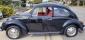 Black/Red 1969 VW Bug