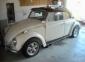 OG Paint Lotus White ‘67 Drivers side fender