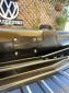 Washburns’s Beetle Flush Mount Center Access Plate