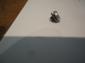 Bosch 009 distributor points screw with washer
