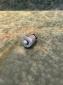 Barndoor starter button knob split t1
