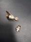 zwitter ignition switch en start button