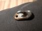 Rear seat strap hook and Karmann Ghia