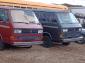 1986 Vanagon SNYCRO Original Paint
