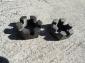 Volkswagen Beetle Early Rear Axle Nuts