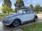 1959 Bug Beetle