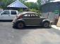 60 Bug