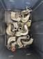Dual Port intake Ends