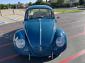 1966 Sea Blue Bug