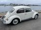 1965 Bug Clean Driver