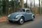 VW Oval bug "standard"topnotch restored