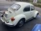 70' Bug