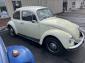 70' Bug