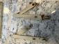 Treasures chest door hinges