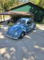 1963 Bug