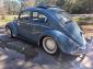 1959 Beetle best offer owns it