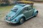 Survivor 1957 Ragtop Oval Bug