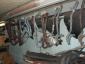 Save on Exhausts