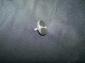 porsche 356 headrest knobs