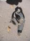 RabbitCaddy/Jetta ignition lock housing 77-92