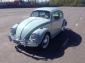 1964 Bug excellent 6V