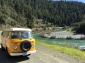 1977 Westfalia With Recent Major Improvements!!!!