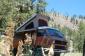 1984 Vanagon -- great condition