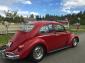 Magazine featured 65 beetle