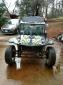 Street Legal Buggy