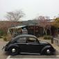 1956 California Oval