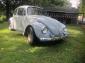 1968 Italian Import Beetle REDUCED possible trade?