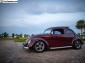 Oval Beetle Ragtop