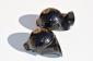 PreA NOS Bosch Horn