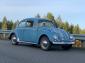 1962 Beetle, Gulf blue survivor from Oregon